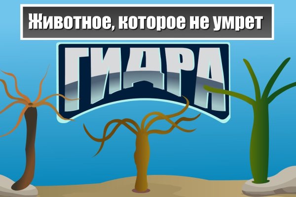 Кракен наркомаркетплейс