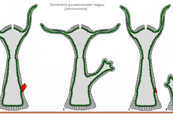 Кракен наркошоп ссылка